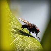 /album/mutumarian/photolia-a04-jpg/