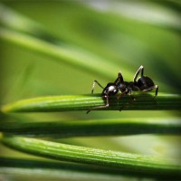 /album/mutumarian/photolia-a05-jpg/