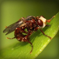 /album/mutumarian/photolia-a06-jpg/