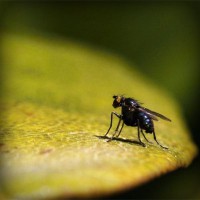 /album/mutumarian/photolia-a07-jpg/